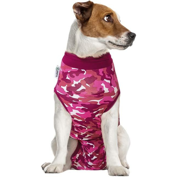 surgical suit for dogs