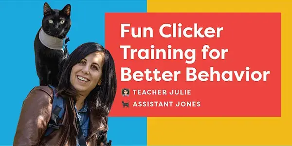 Cat School clicker training youtube channel