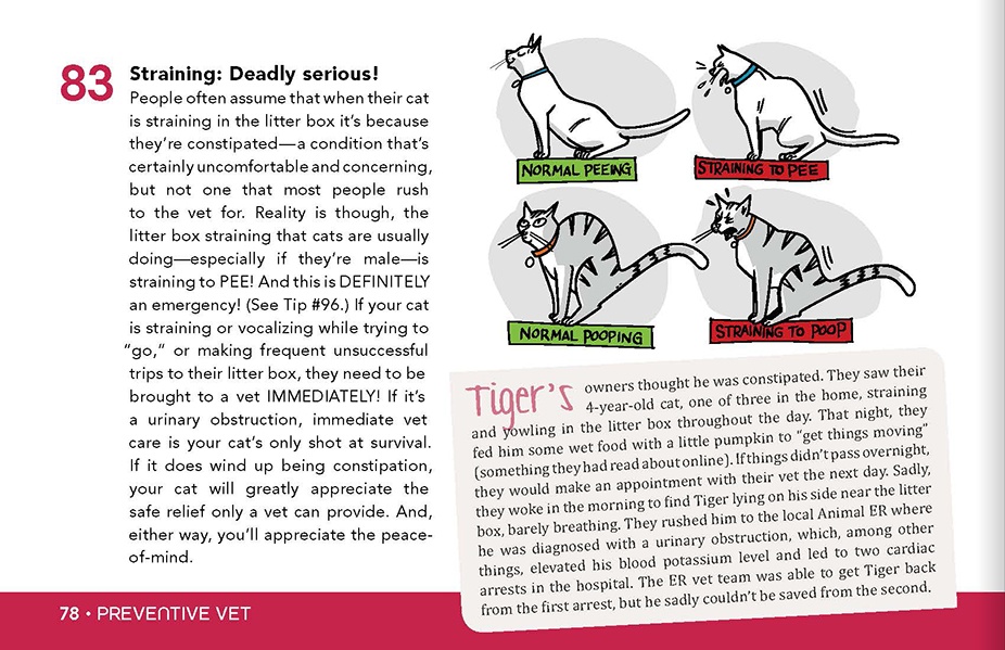 cat-book-Page_78v2.jpg