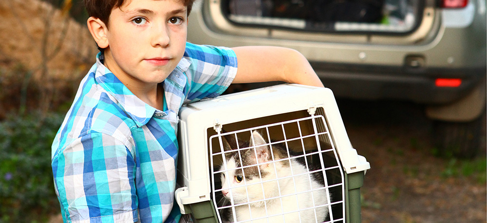 cat-carrier-harness-travel