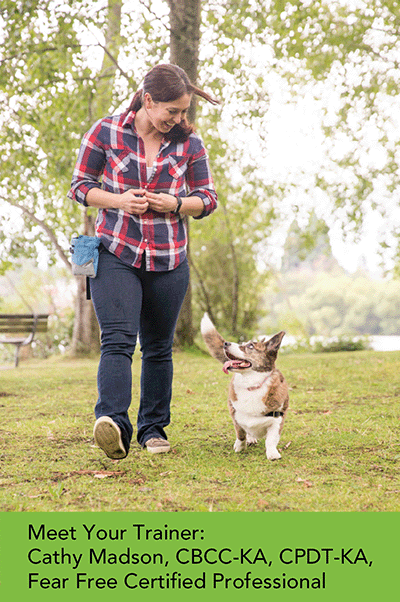 certified fear free dog trainer cathy madson and sookie