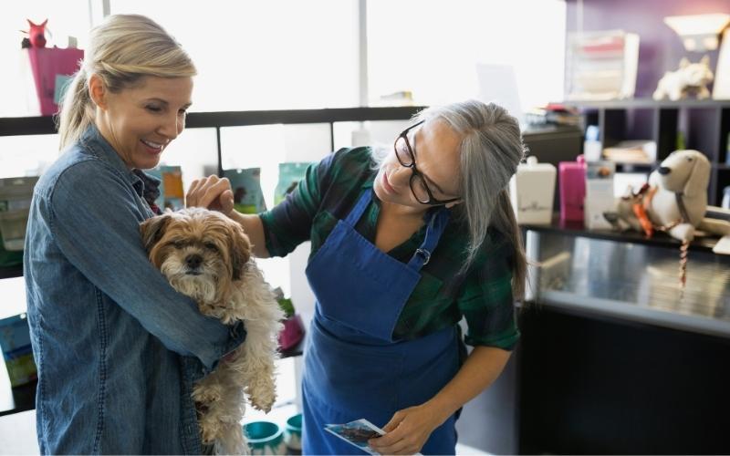 checking dog in at groomer