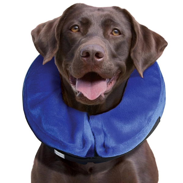 inflatable cone alternative collar