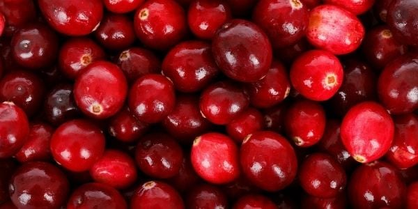 cranberries that may be good for pet health