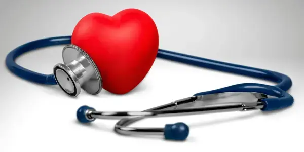 your cat's heart disease diagnosis
