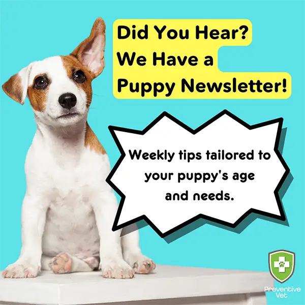 subscribe and follow your puppy's development