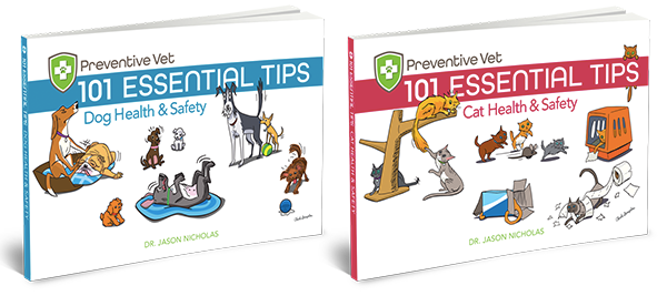 dog and cat health and safety tips books