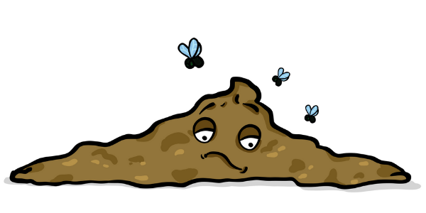 illustration of a pile of dog diarrhea with flies