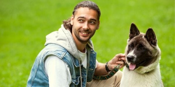 dog trainer working with an akita