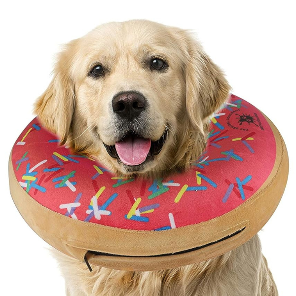 inflatable donut soft collar cone alternative