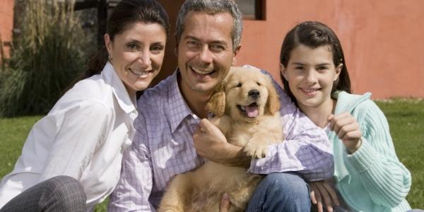 what should you teach your puppy first?