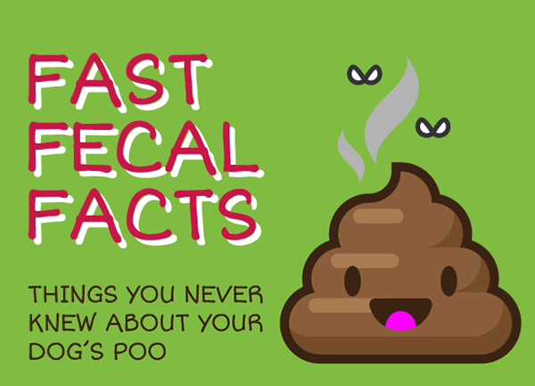 fast-fecal-facts