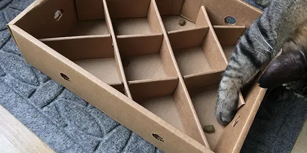 DIY cat food puzzles
