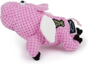 godog flying pig dog toy