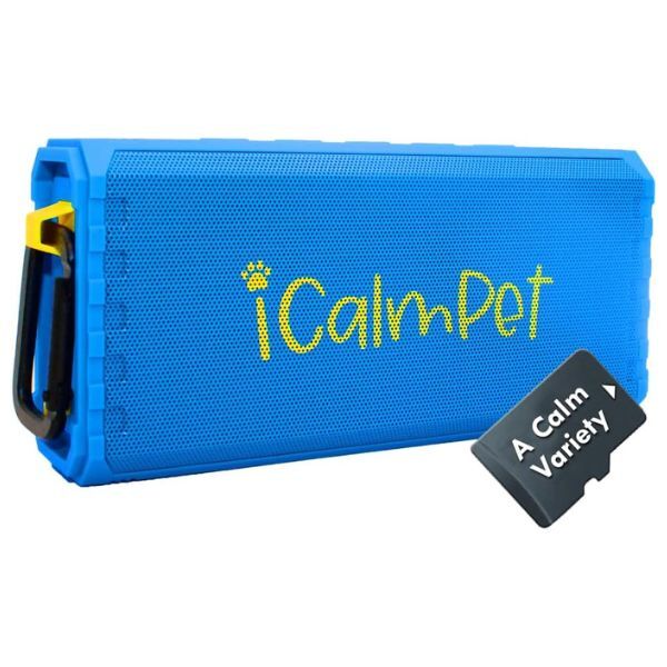 icalm-cat-music