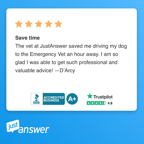 just answer testimonial - dog save time emergency vet d-arcy