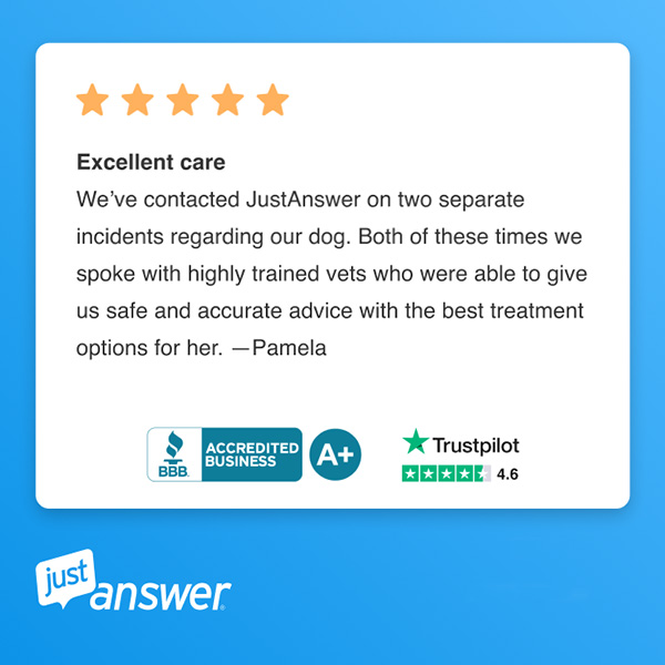 just answer testimonial - dogs pamela