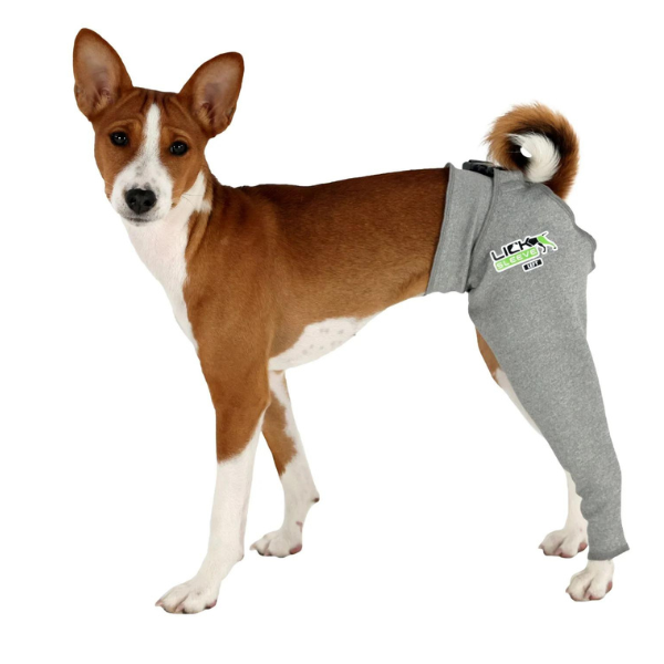 Dog Recovery Sleeve for Right or Left Back Leg