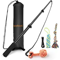 Loobani Flirt Pole Toy for Dogs