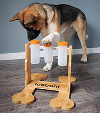 Loobani interactive dog food puzzle