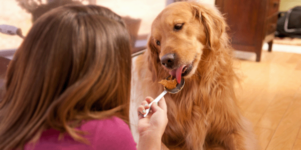 how often can dogs have peanut butter