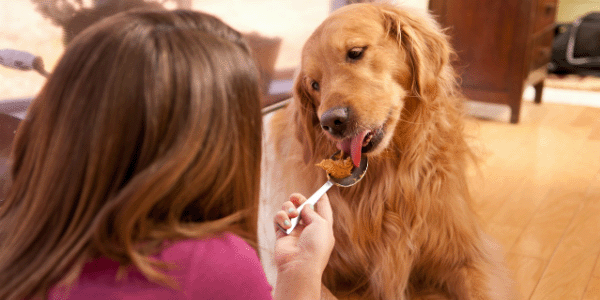 Is Peanut Butter Good for Dogs? - Preventive Vet