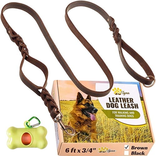 adityna leather dog leash