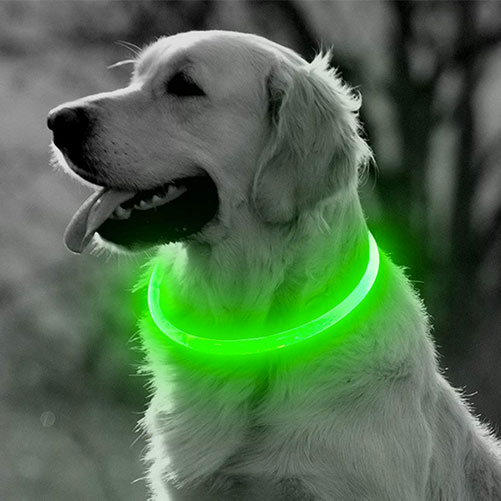BSeen LED Dog Collar USB Rechargeable Glowing Pet Collar