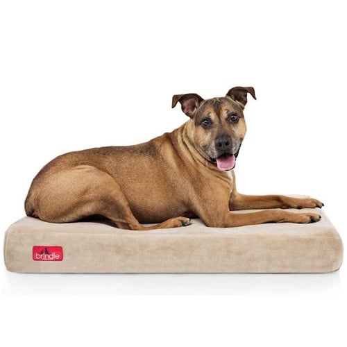 Brindle Memory Foam Orthopedic Dog Bed