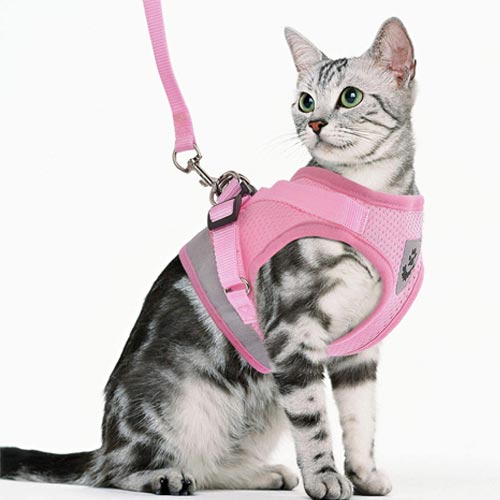 Gauterf Escape-Proof Cat and Dog Harness