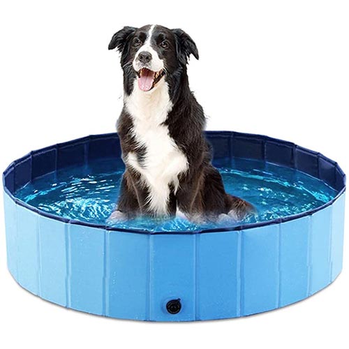 jasonwell collapsible dog pool