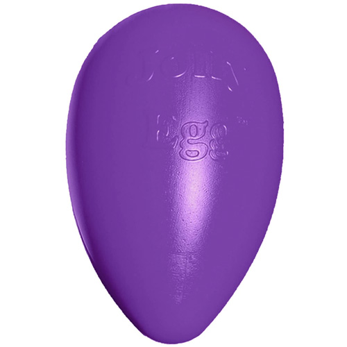 Jolly Egg Plastic Ball 12 inch