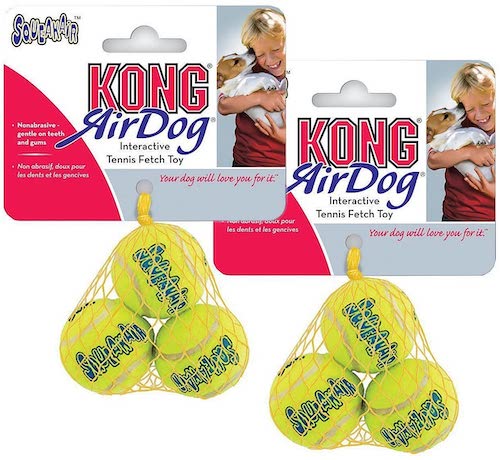 KONG extra small tennis balls