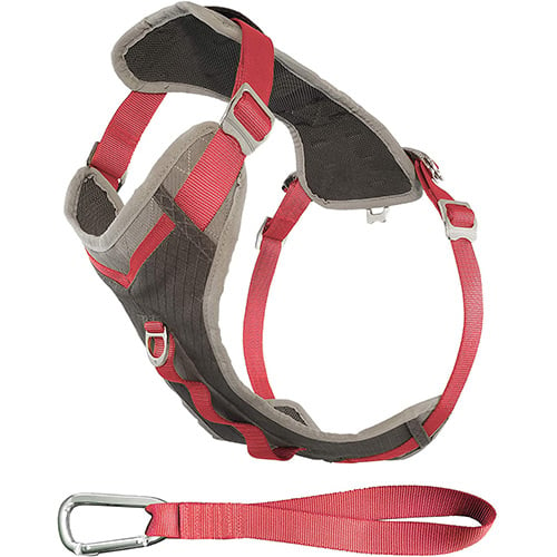 Benefits and Advantages of Front-Attaching Harnesses for Dogs - PetHelpful