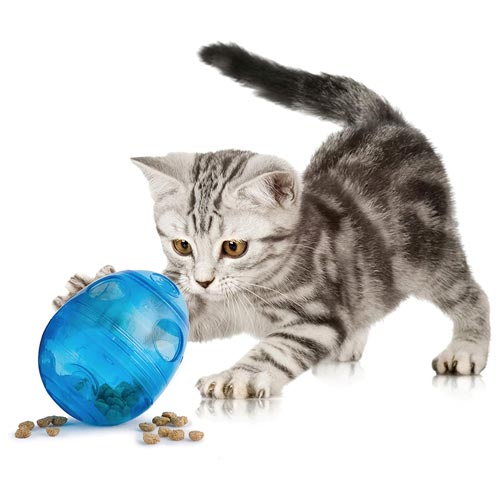 PetSafe FUNKitty Egg Cersizer