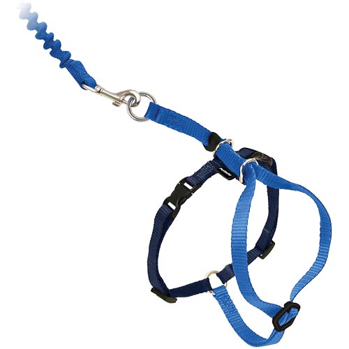 PetSafe Come With Me Kitty Harness and Bungee Leash