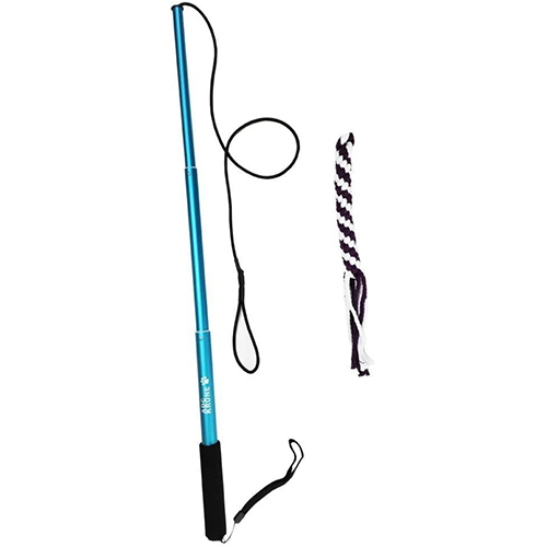 sanzang flirt pole for dogs