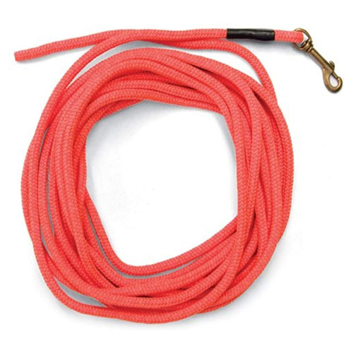 sportDog 30 foot long leash