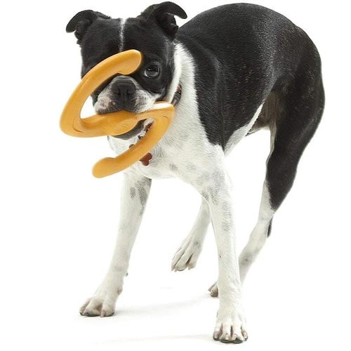 What Type of Chew Toys are Safe for Dogs?