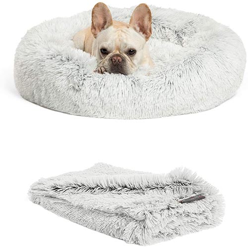sheri calming dog bed and throw blanket