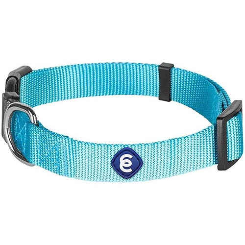 blueberry pet flat nylon dog collar