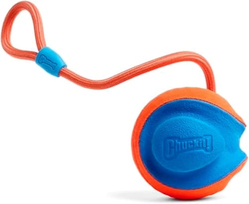 Chuckit rope fetch toy for dogs