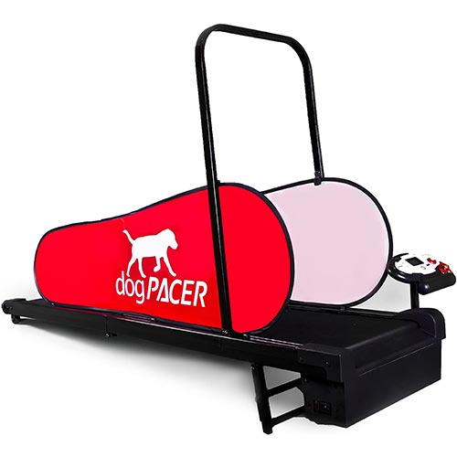 dogpacer dog treadmill