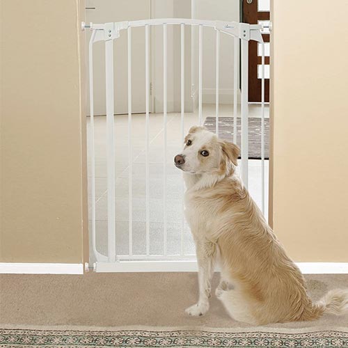 extra tall pet safety gate