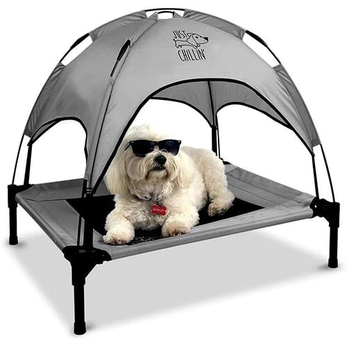 floppy dawg elevated pet bed with canopy