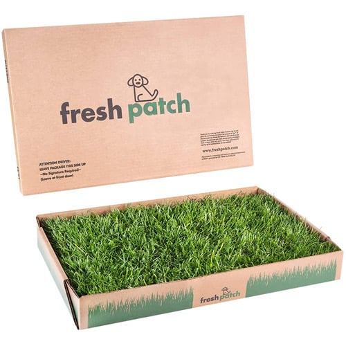 Fresh Patch Disposable Dog Potty with Real Grass