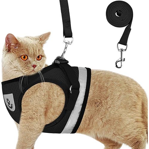 gauterf cat vest harness