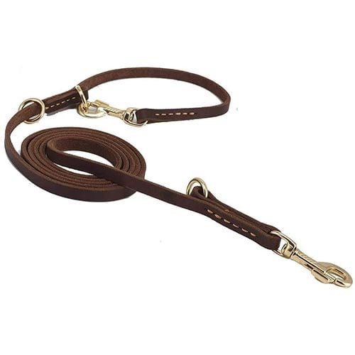 guiding start adjustable leather dog leash