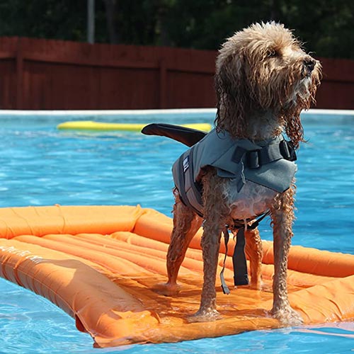 lazy dog lounger raft