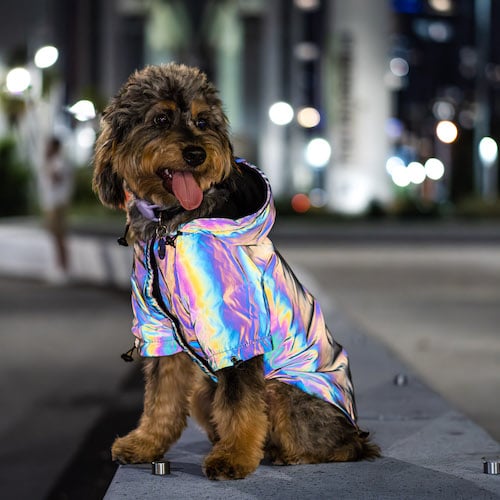 Lunar pooch reflective light up dog hoodie